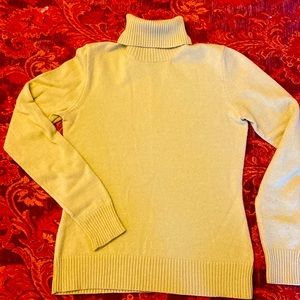Turtle neck Merino Wool